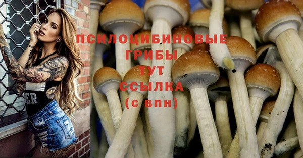 кокаин премиум Беломорск