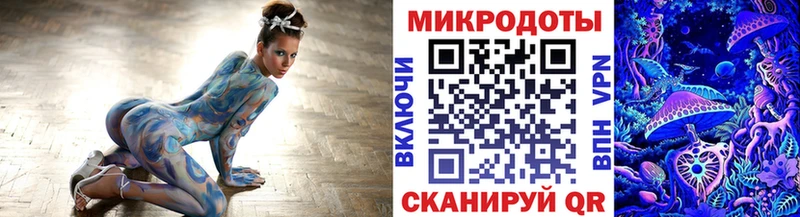 Купить закладки  Новоржев  Галлюциногенные грибы GOLDEN TEACHER 